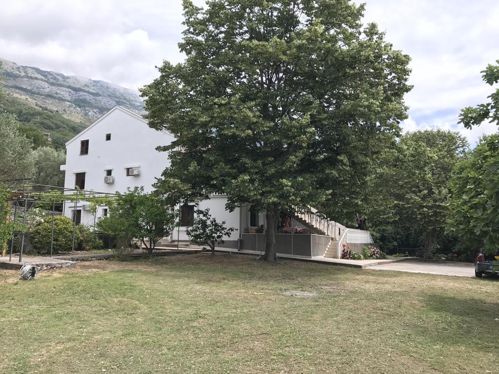 Vuko I Magdalena Midzor Apartment Petrovac Exterior photo